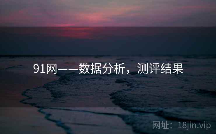 91网——数据分析,测评结果 91网——数据分析,测评结果