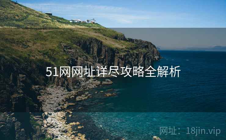 51网网址详尽攻略全解析