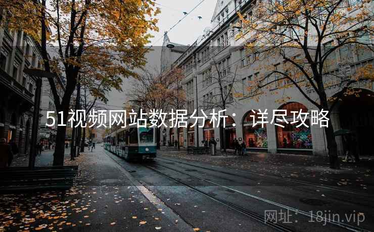 51视频网站数据分析：详尽攻略
