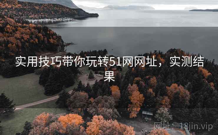 实用技巧带你玩转51网网址，实测结果