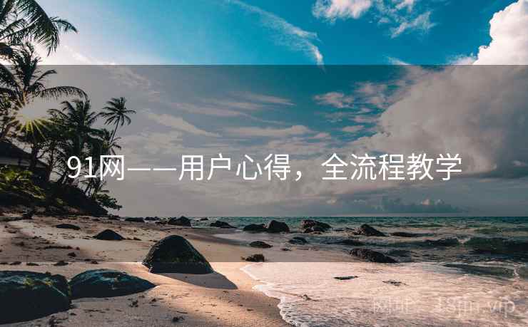 91网——用户心得,全流程教学 91网——用户心得,全流程教学