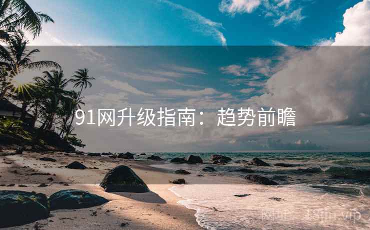 91网升级指南:趋势前瞻 91网升级指南:趋势前瞻