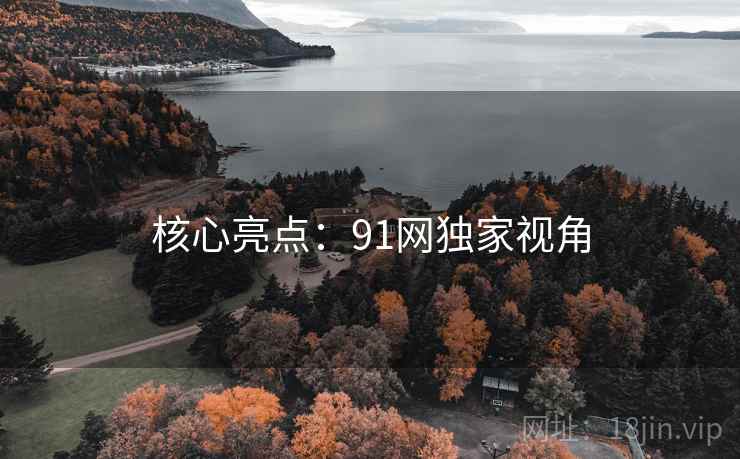 核心亮点:91网独家视角 核心亮点:91网独家视角
